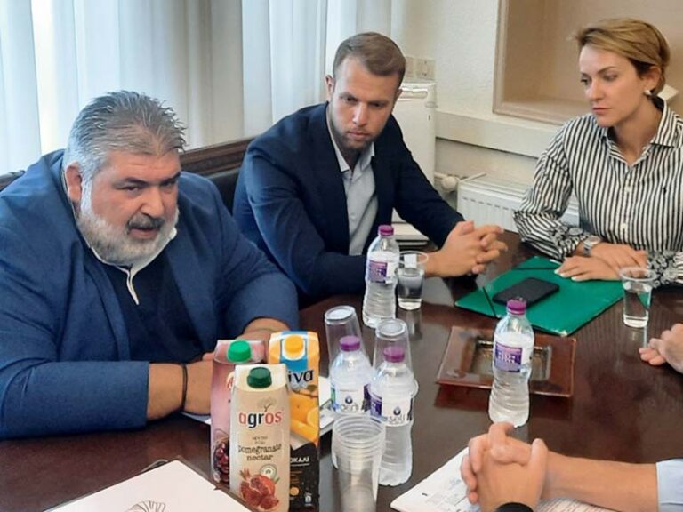 Επίσκεψη της Γενικής Γραμματέα Ενέργειας & Ορυκτών Πρώτων Υλών Αλεξάνδρας Σδούκου, στο Δήμαρχο Εορδαίας Παναγιώτη Πλακεντά.