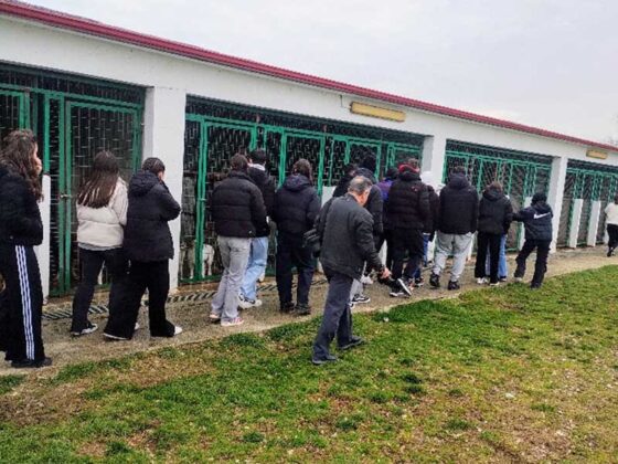 Επίσκεψη 3ου Λυκείου Πτολεμαΐδας στις εγκαταστάσεις του Δημοτικού  Καταφυγίου Αδέσποτων σκύλων του Δήμου Εορδαίας