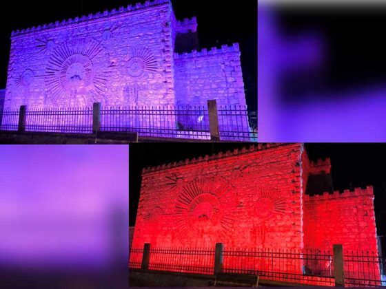 Παγκόσμια ημέρα ενημέρωσης για τη νωτιαία μυϊκή ατροφία (SMA)